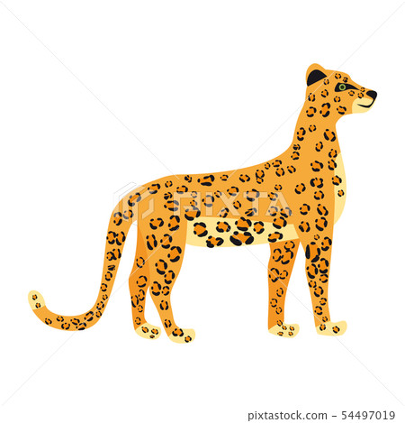 Leopard cute trend style, animal predator mammal, jungle. Vector illustration isolated on white 54497019