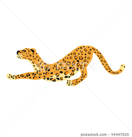 Leopard smack cute trend style, animal predator mammal, jungle. Vector illustration isolated on 54497020
