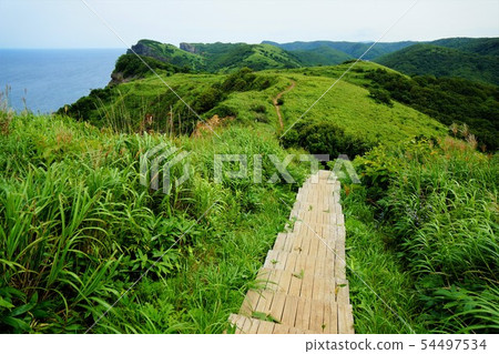 Shakotan通行證木道路 54497534