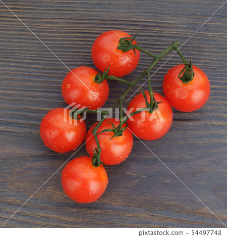 Ripe cherry tomatoes on a twig on a dark woden 54497748