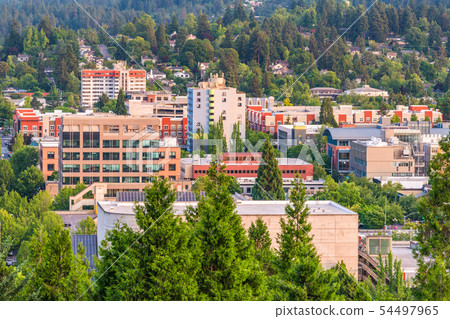 Eugene, Oregon, USA Skyline 54497965
