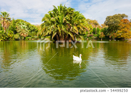 Parc Ciutadella or Citadel Park 54499250
