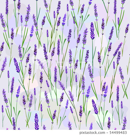 lavender seamless pattern - Stock Illustration [54499483] - PIXTA