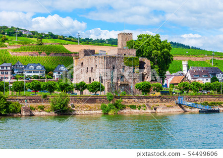Rudesheim am Rhein Vineyards, Germany 54499606