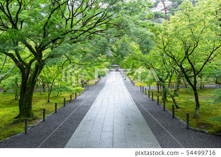 Nanzenji in early summer 54499716