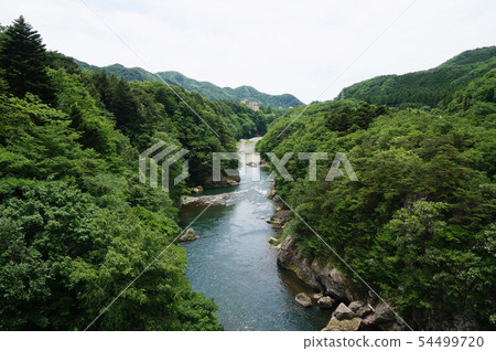Nikko Kinugawa Nikko Kinugawa 54499720