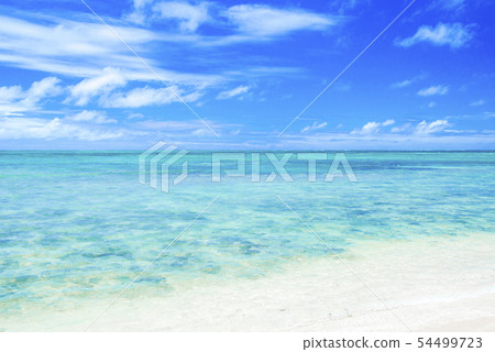 【Hawaii】 Sea of Heaven Sand Bar 54499723