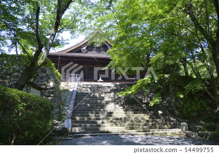 Fresh green Mitsui-ji Temple Fresh green Mitsui-ji Temple 54499755