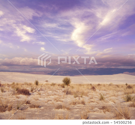 Beautiful sunset at White Sands National Monument 54500256
