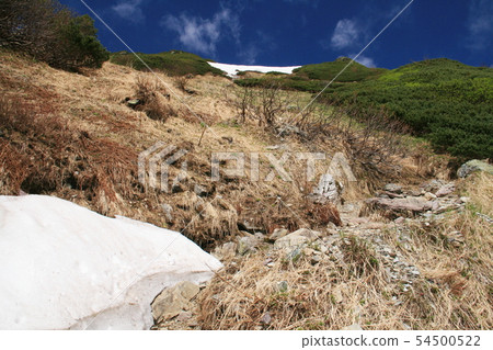 南阿爾卑斯山脈Shiramine Miyama帳篷縱向上升從Shirane Oike到Hokudake Grass Grass 54500522