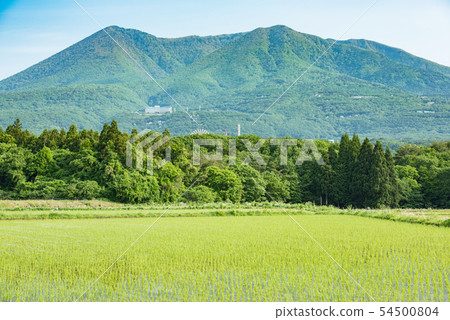 Nasu-dake in spring, Chasu-dake, Nasu-dake from Nasu highland, Nasu-dake in blue sky, sunny, Nasu mountain, Nasu highland, Nasu nature, Nasu-dake in spring, Chasu-dake, Nasu-dake from Nasu highland, Nasu-dake in blue sky, sunny, Nasu mountain, Nasu highland, Nasu nature, 54500804