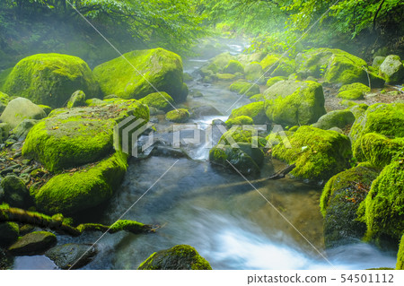 Moss and rock flow 54501112