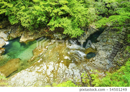 Burrow group 5 of Shimankawa 54501249