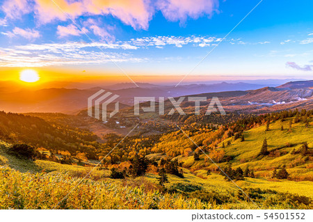 Autumn shibuya morningburn [Gunma Prefecture] 54501552