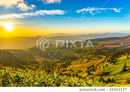 Autumn shibuya morningburn [Gunma Prefecture] 54501577