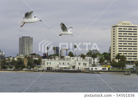 St Kilda beach in Melbourne St Kilda beach in Melbourne 54501836