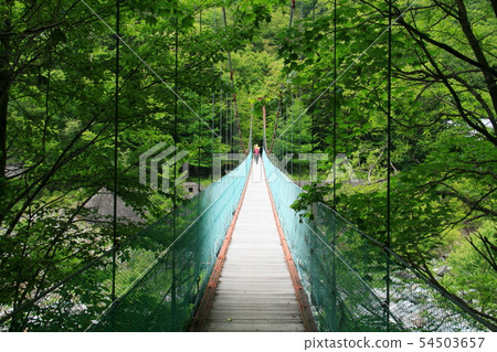 南阿爾卑斯山Hakuhosansan帳篷縱向懸索橋廣川 54503657