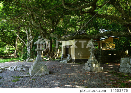 Chigasaki's Akoshi Shrine 54503776