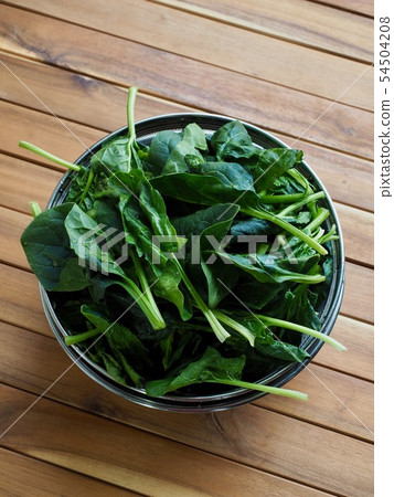 來自韓國的新鮮有機菠菜 54504208