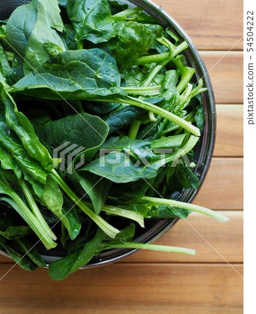 來自韓國的新鮮有機菠菜 來自韓國的新鮮有機菠菜 54504222