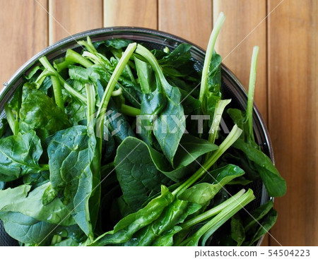 來自韓國的新鮮有機菠菜 54504223