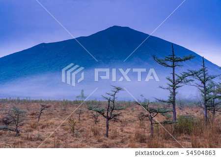 （栃木縣）Oku Nikko Senjogahara黎明初夏 54504863