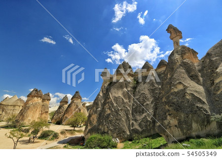 Turkey Istanbul and Cappadocia Turkey Istanbul and Cappadocia 54505349