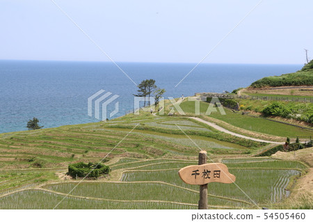 Ishikawa Prefecture, Wajima City, Shiraoicho, Senimada Ishikawa Prefecture, Wajima City, Shiraoicho, Senimada 54505460