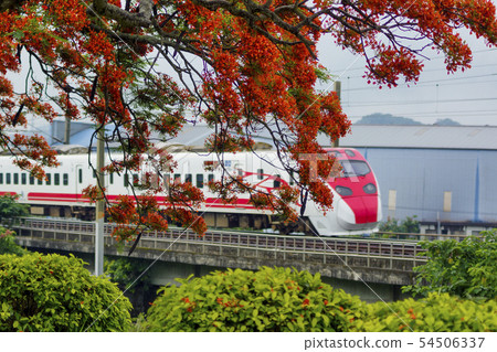 Phoenix Wood Train 54506337