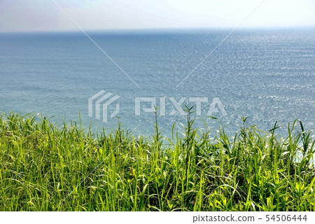 Overlooking the ocean far away (Pacific) The light sky and the sea breeze swaying wild grass are gentle Overlooking the ocean far away (Pacific) The light sky and the sea breeze swaying wild grass are gentle 54506444