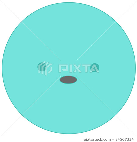 King penguin chicks (simple light blue) 54507334