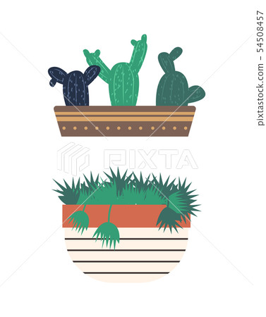 Cactus in Pot and Flower, Biodiversity Greenhouse 54508457