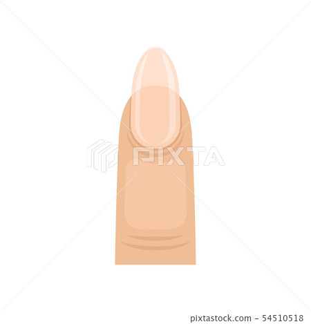 Nail with a rounded edge. Vector illustration on white background. Nail with a rounded edge. Vector illustration on white background. 54510518