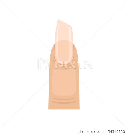 Nail with beveled edge. Vector illustration on white background. 54510530