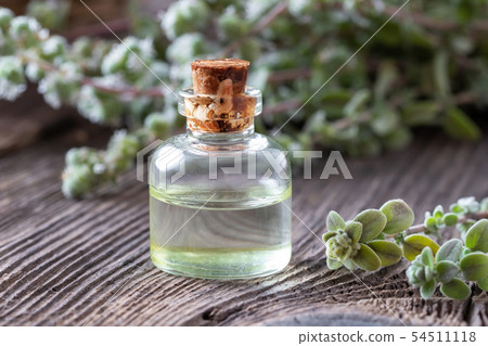 A bottle of marjoram essential oil with marjoram A bottle of marjoram essential oil with marjoram 54511118