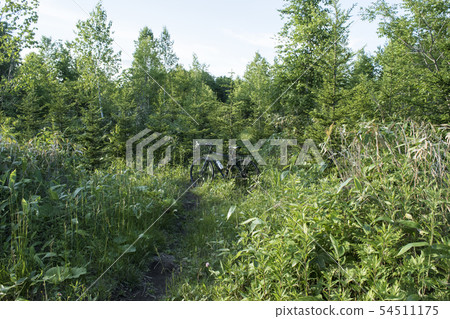 Gravel load 54511175