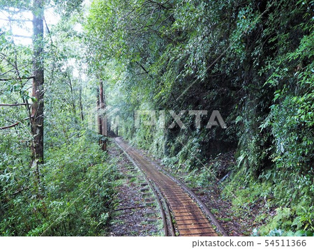 Jomon Sugi trekking 54511366