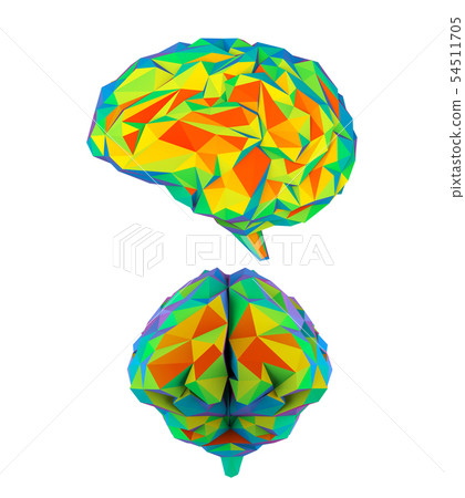 Colorful polygonal brain Colorful polygonal brain 54511705