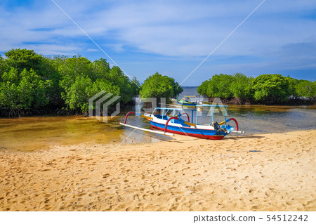 Mangrove beach, Nusa Lembongan island, Bali, 54512242