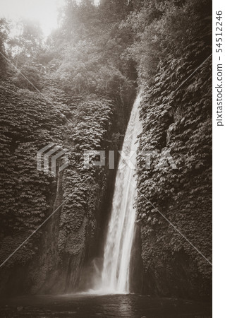Red Coral Waterfall, Munduk, Bali, Indonesia 54512246