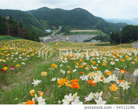 Four season walk summer Chikogen plateau 54512286