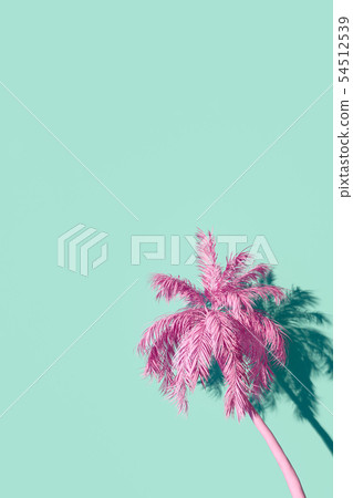 Palmtree against turquoise wall render 54512539