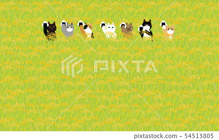 Cat with rice ball rice fields shake - Stock Illustration [54513805 ...