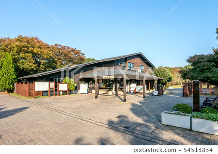 位於東京都大田區的東京都東京港野鳥公園 位於東京都大田區的東京都東京港野鳥公園 54513834