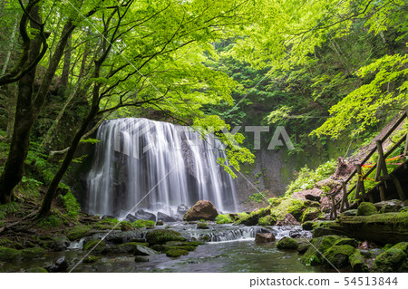 Fresh green Tatsusawa Fudo Waterfall Fukushima Inawashiro Fresh green Tatsusawa Fudo Waterfall Fukushima Inawashiro 54513844