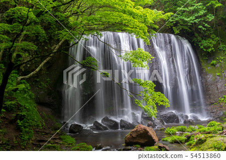 Fresh green Tatsusawa Fudo Waterfall Fukushima Inawashiro 54513860