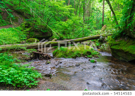 Tatsuzawa河福島豬苗代的流動 54514583