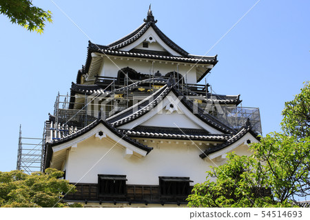 彥根城國家寶藏彥根城堡Meijo Kintoki城堡Tenshu本丸正在裝修 彥根城國家寶藏彥根城堡Meijo Kintoki城堡Tenshu本丸正在裝修 54514693