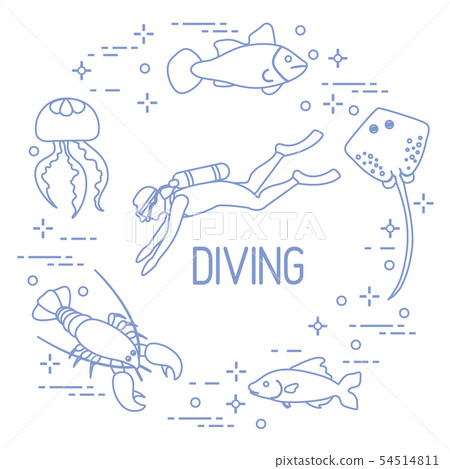Diver, jellyfish, lobster, stingray, fish 54514811