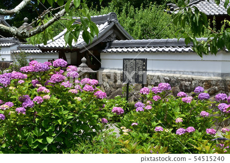 Honkouji Temple Shokakudo 54515240